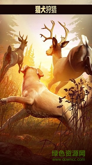 獵鹿人2018最新版 獵鹿人2018手機(jī)版下載