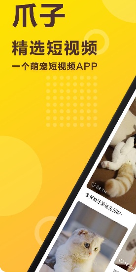 爪子短視頻