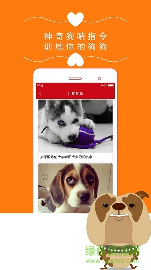狗狗之家手機(jī)版 v1.0 安卓版 2