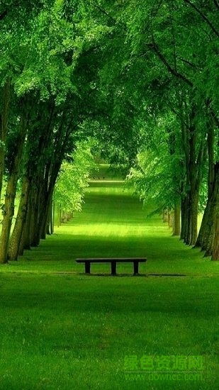 全局透明壁紙vip正式版 v7.1.4 安卓版 3