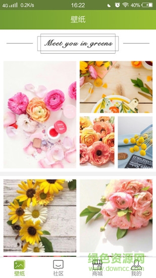 綠茵薈 v1.0 安卓版 1