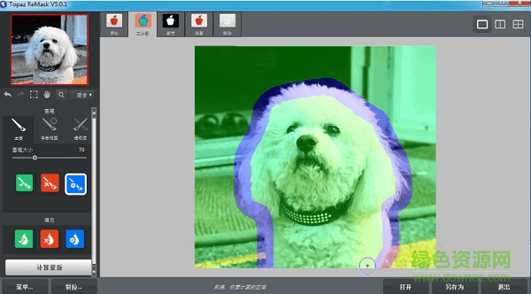 topaz remask5汉化版 topaz remask5