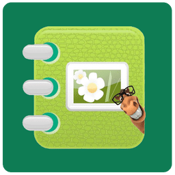 動感相冊影集app