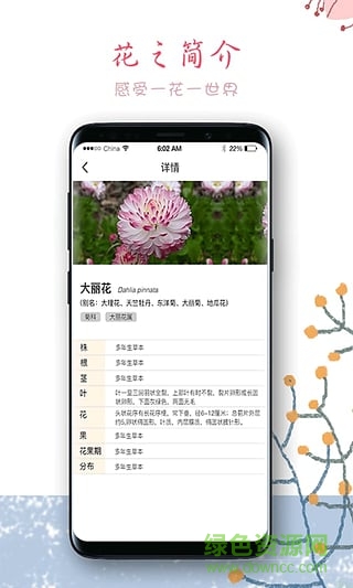 超级袋鼠爸爸 v0.0.11 安卓版0