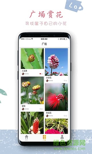 超级袋鼠爸爸 v0.0.11 安卓版3
