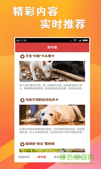 跑狗報手機版 v1.0.0 安卓版 2