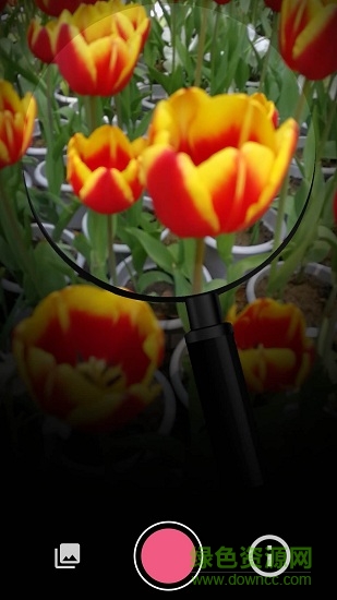 咔嚓識花 v2.0.13 安卓版 0