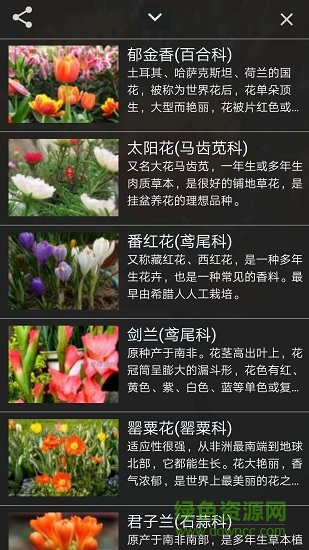 咔嚓識花 v2.0.13 安卓版 2