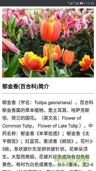 咔嚓識花 v2.0.13 安卓版 3