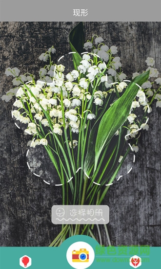 現(xiàn)形(拍照識花) v1.1.2卓版 0