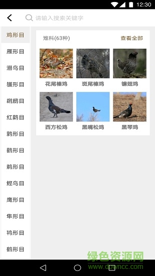 識鳥家app v1.4 安卓版 2