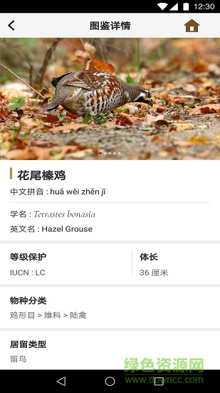 識鳥家app v1.4 安卓版 3