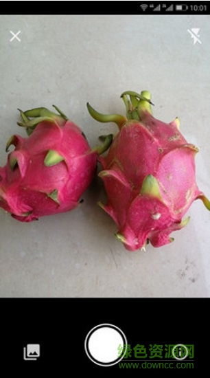 飲食百科 v1.1 安卓版 0