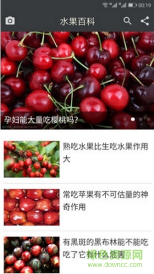 飲食百科 v1.1 安卓版 1