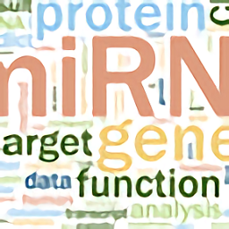 單詞為王wordskiller