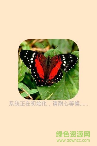 昆蟲(chóng)識(shí)圖app v1.3 安卓版 0