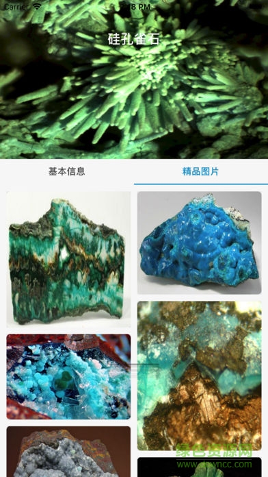 礦石之家安卓版 v1.1 手機版 3