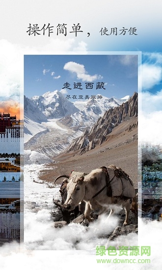 利來國際旅游 利來國際旅游app下載