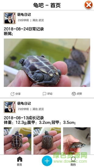 萌龜日記app下載