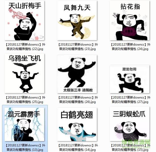 抖音武功秘籍表情包 熊貓武功秘籍表情包