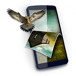 3dwallpapers中文正式版