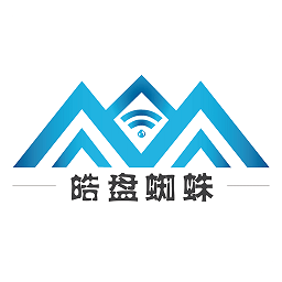 蜘蛛財(cái)務(wù)