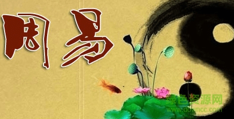 周易起名大師正式版