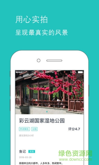 魚(yú)游手機(jī)版