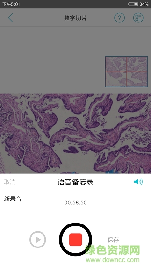 91360會(huì)診 v2.87 安卓版 2