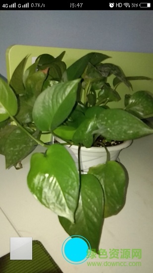 簡(jiǎn)用手電筒 v4.0.6 安卓版 3