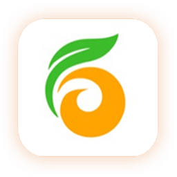 金柿子工裝平臺