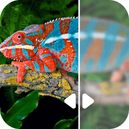 云川圖片修復(fù)手機(jī)版