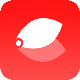 305中文網(wǎng)手機版