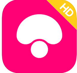 蘑菇街hd最新版