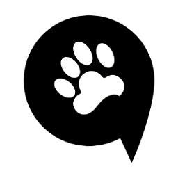 熊大叫車司機版最新版