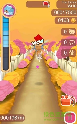 可愛寵物狗狗(Cute Pet Puppies) v1.0.4 安卓版 0