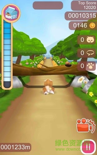 可愛寵物狗狗(Cute Pet Puppies) v1.0.4 安卓版 1
