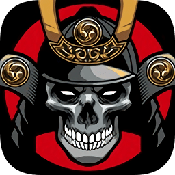 浪人武士(ronin warrior)