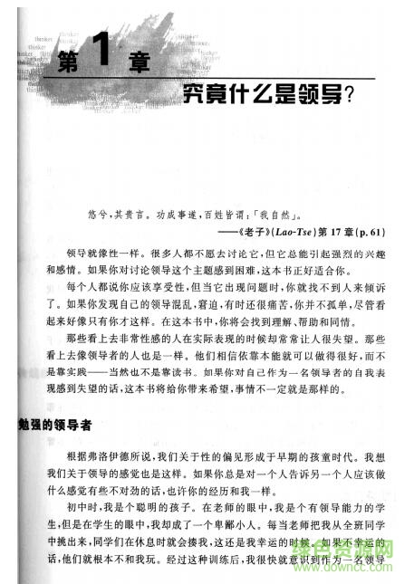 成為技術(shù)領(lǐng)導(dǎo)者 pdf