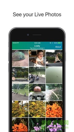 lively相機(jī) v2.3.2 安卓版 1