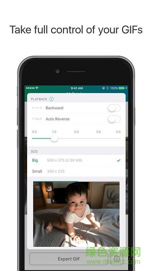 Lively相機(jī)app