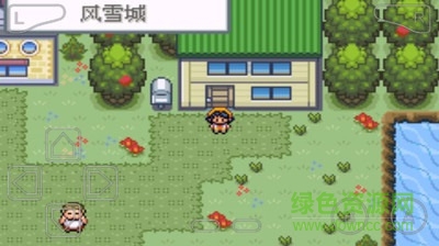 口袋妖怪暗黑銀