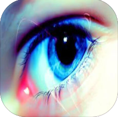 蓝眼速传监控app