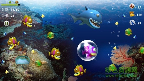 大魚吃小魚經(jīng)典美麗版本 v3.9.6 安卓版 0