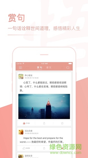 每日一悟 v1.0.14022 安卓版 0