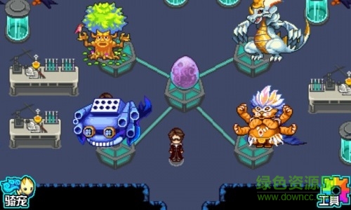 口袋妖怪綠寶石493版手游 v1.0 安卓版 0