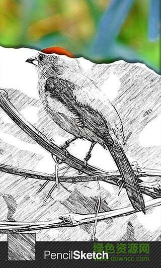 超級素描大師軟件 v1.65 安卓版 0