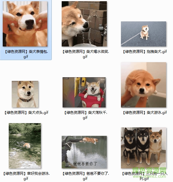 柴犬點(diǎn)頭表情包gif