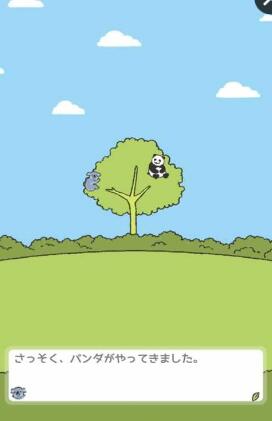 熊貓之森養(yǎng)成游戲(ぱんだの森) v1.0.1 安卓版 1