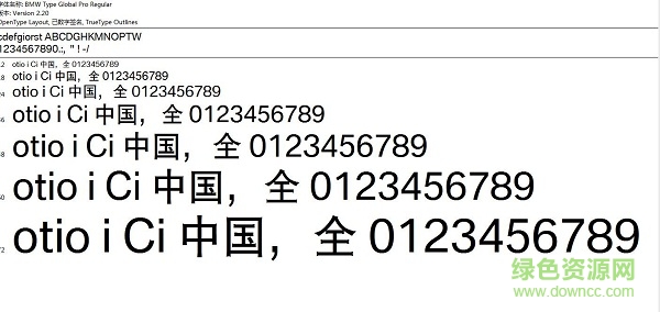 bmw type global pro regular  0